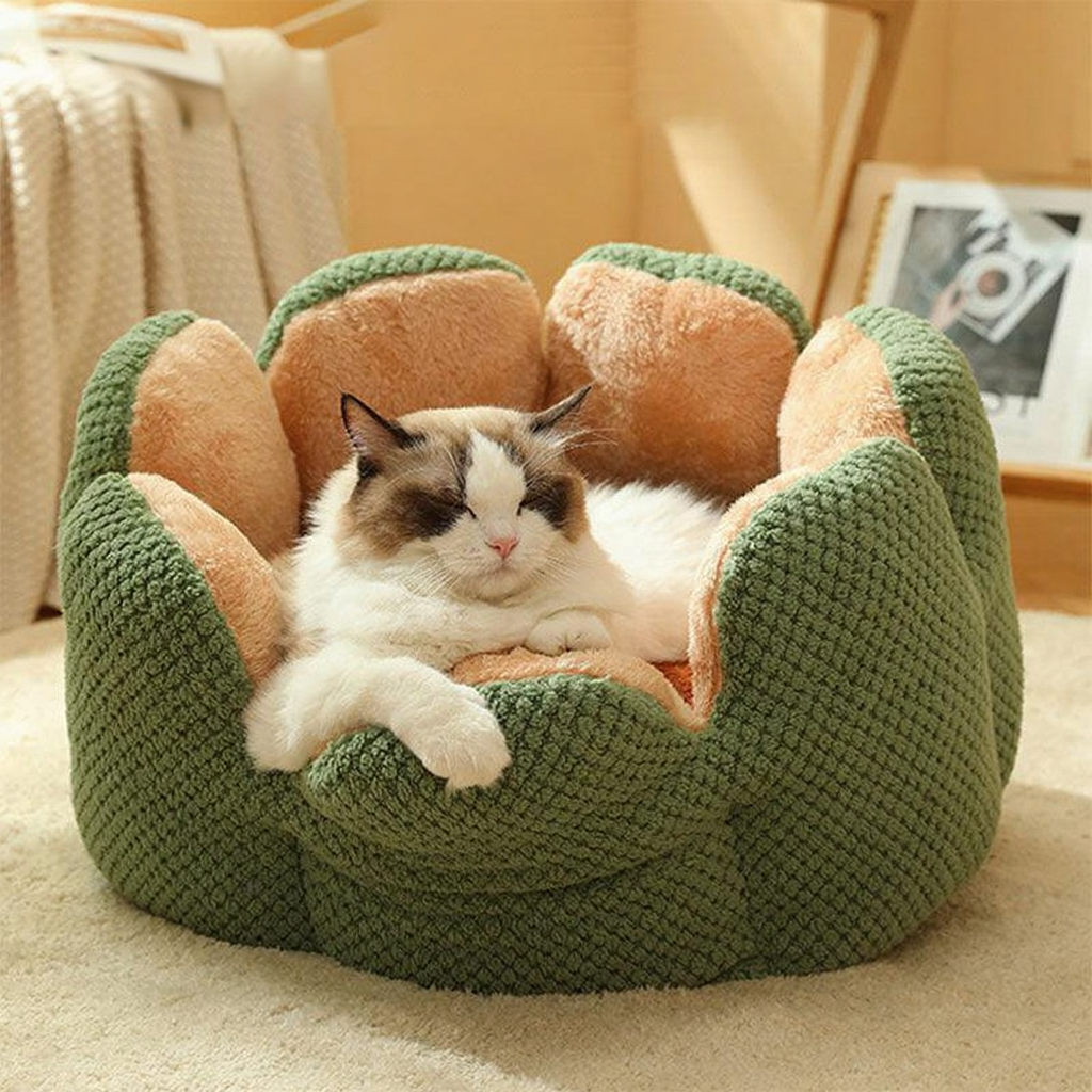 Catvera Flower Nest Cat Bed - Image 7|||PROMPT|||Cleaned image. Original analysis: found 1 watermark text overlay
