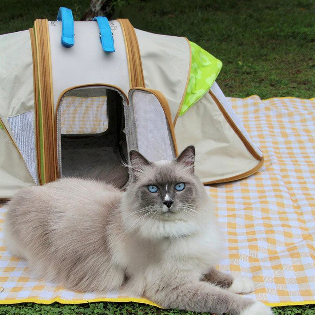 Catvera Foldable Cat Carrier Tent - Image 10|||PROMPT|||Cleaned image. Original analysis: Found multiple brand names and logos on the pet carrier: 'BELLO' text visible on the carrier fabric, a pig cartoon logo/emblem on the carrier exterior, and what appears to be brand labeling on the straps and patches.