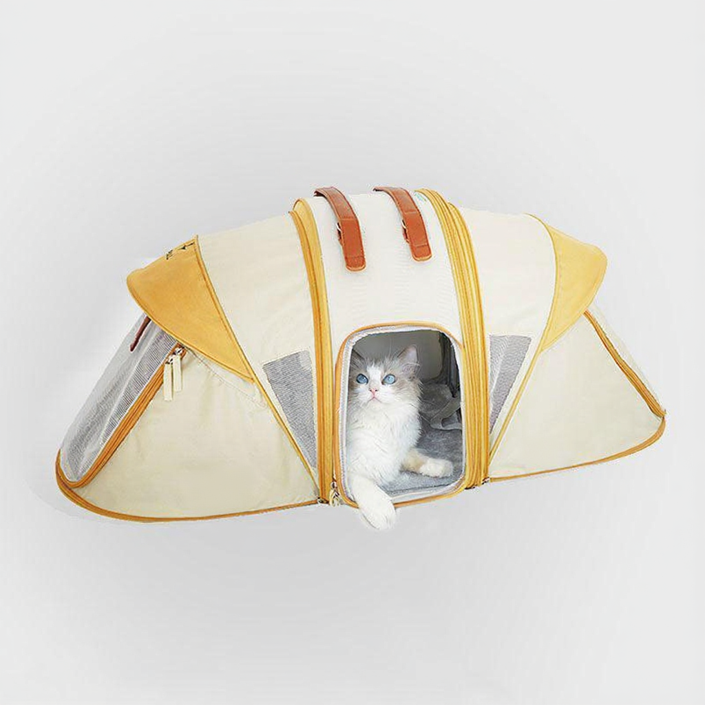 Catvera Foldable Cat Carrier Tent - Image 12|||PROMPT|||Cleaned image. Original analysis: Found 3 branding elements: 'MEWCATS' text overlay at top, 'o8o8' logo/text on the product fabric, and a small brand signature on the right side of the tent