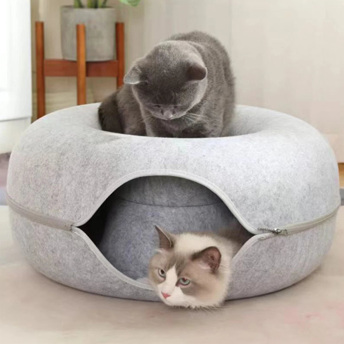 Catvera Foldable Felt Cat Tunnel Bed - Image 3|||PROMPT|||Original clean product image