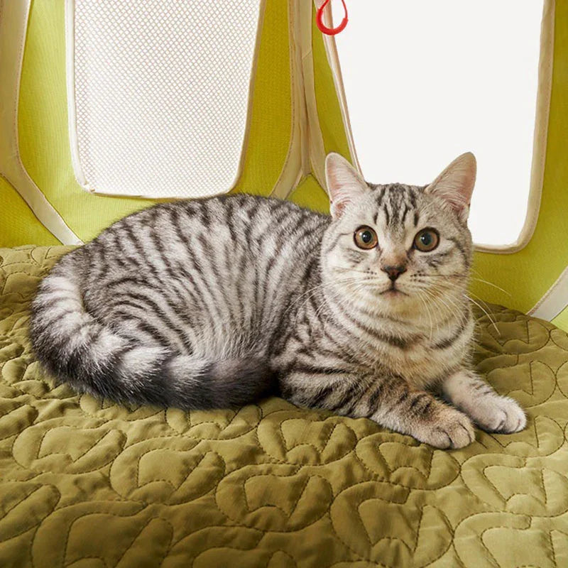 Catvera Foldable Outdoor Cat Tent - Image 7|||PROMPT|||Original clean product image