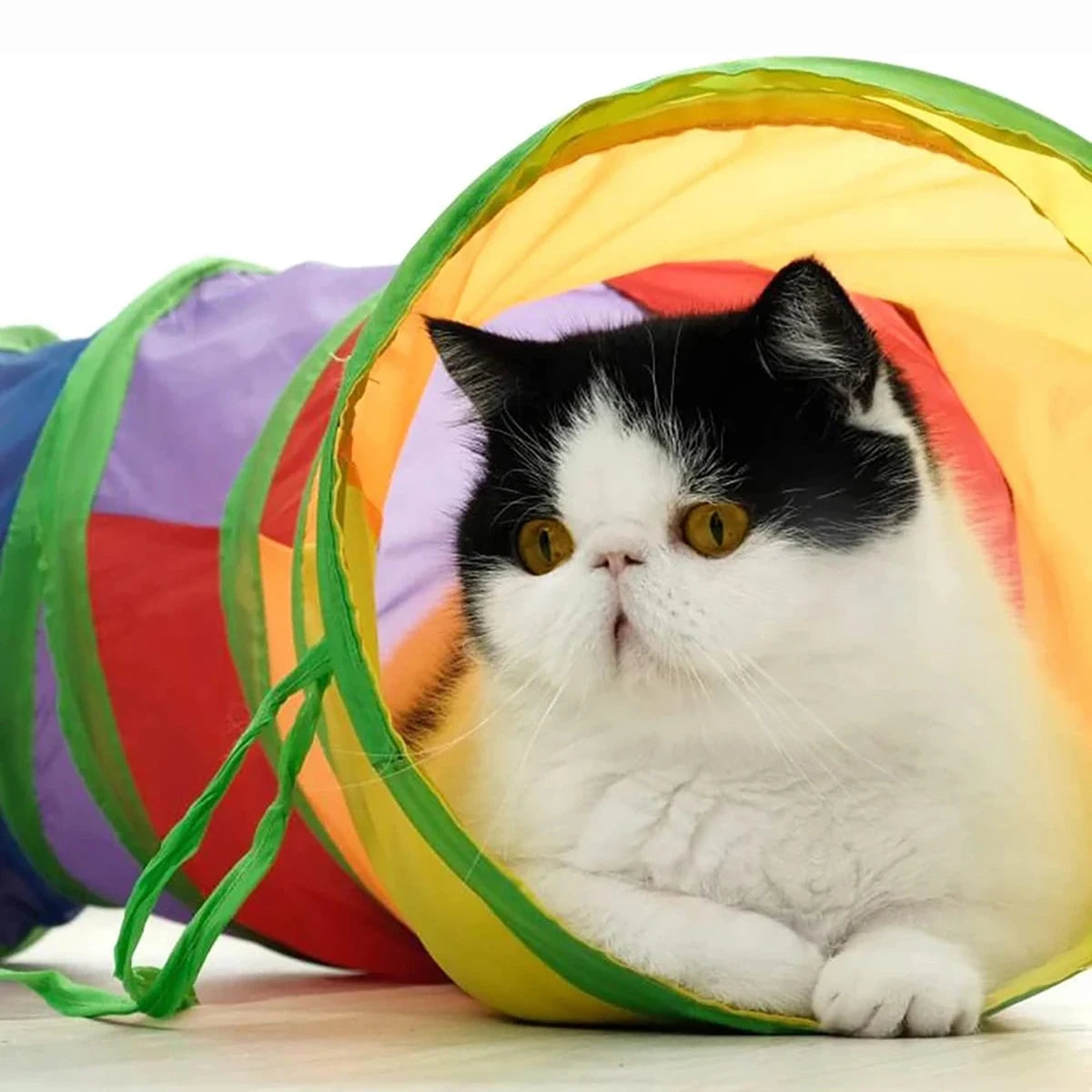 Catvera Foldable Rainbow Play Tunnel - Image 2|||PROMPT|||Original clean product image