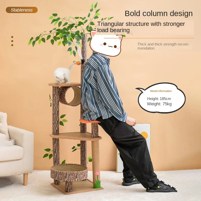 Catvera Forest Cat Climbing Tree - Image 2|||PROMPT|||Original clean product image