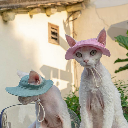 Catvera Hairless Cat Sun Hat - Image 18|||PROMPT|||Cleaned image. Original analysis: Found 1 text overlay watermark in the top right corner reading 'Gold Floral St...' (partially visible brand/product name text)