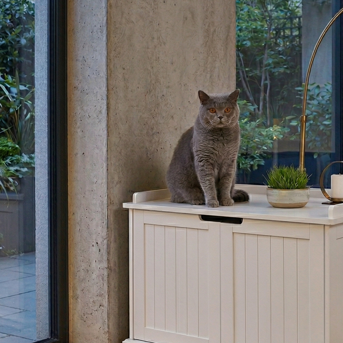 Catvera Hidden Litter Box Cabinet - Image 5|||PROMPT|||Original clean product image