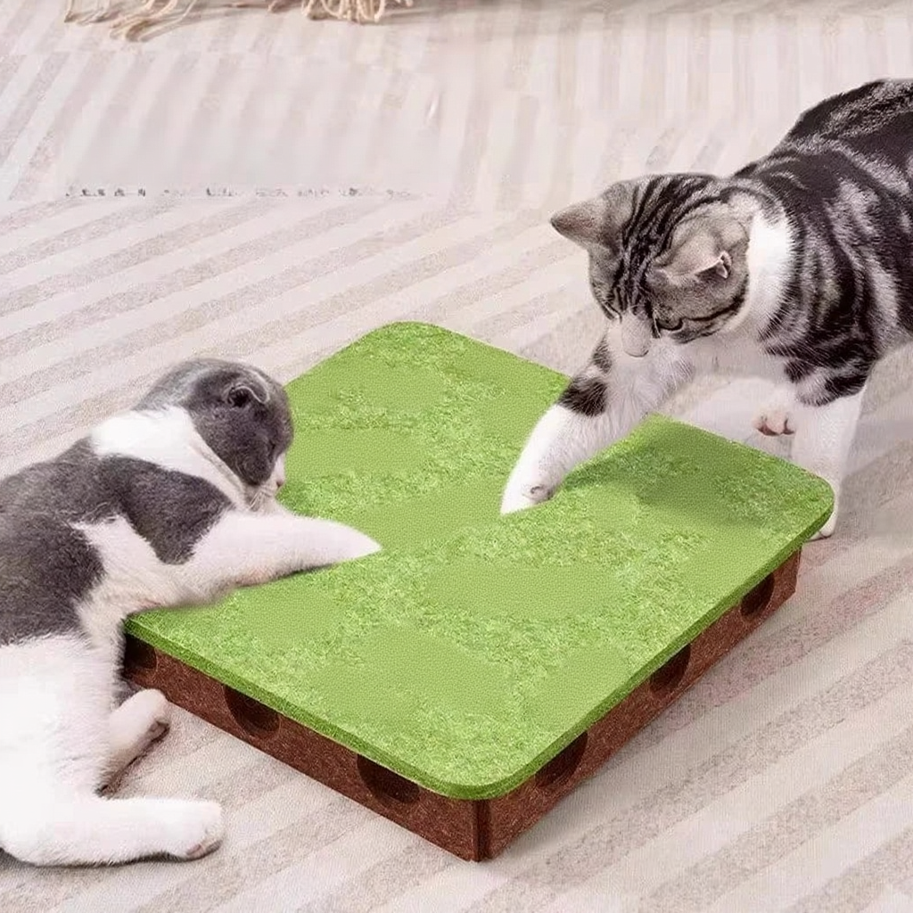 Catvera Interactive Felt Puzzle Box - Image 1|||PROMPT|||Cleaned image. Original analysis: found 1 watermark/logo and 2 text overlays containing branding