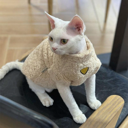 Catvera Lambswool Hairless Cat Sweater - Image 4|||PROMPT|||Cleaned image. Original analysis: Found 1 brand name stitched on the sweater worn by the cat