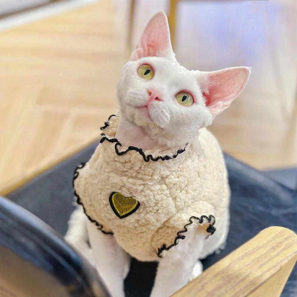 Catvera Lambswool Hairless Cat Sweater - Image 7|||PROMPT|||Cleaned image. Original analysis: found 2 watermarks: 'Hello! Good things to share' text overlay in bottom left corner and 'kittymia' social media handle/brand name in bottom left corner