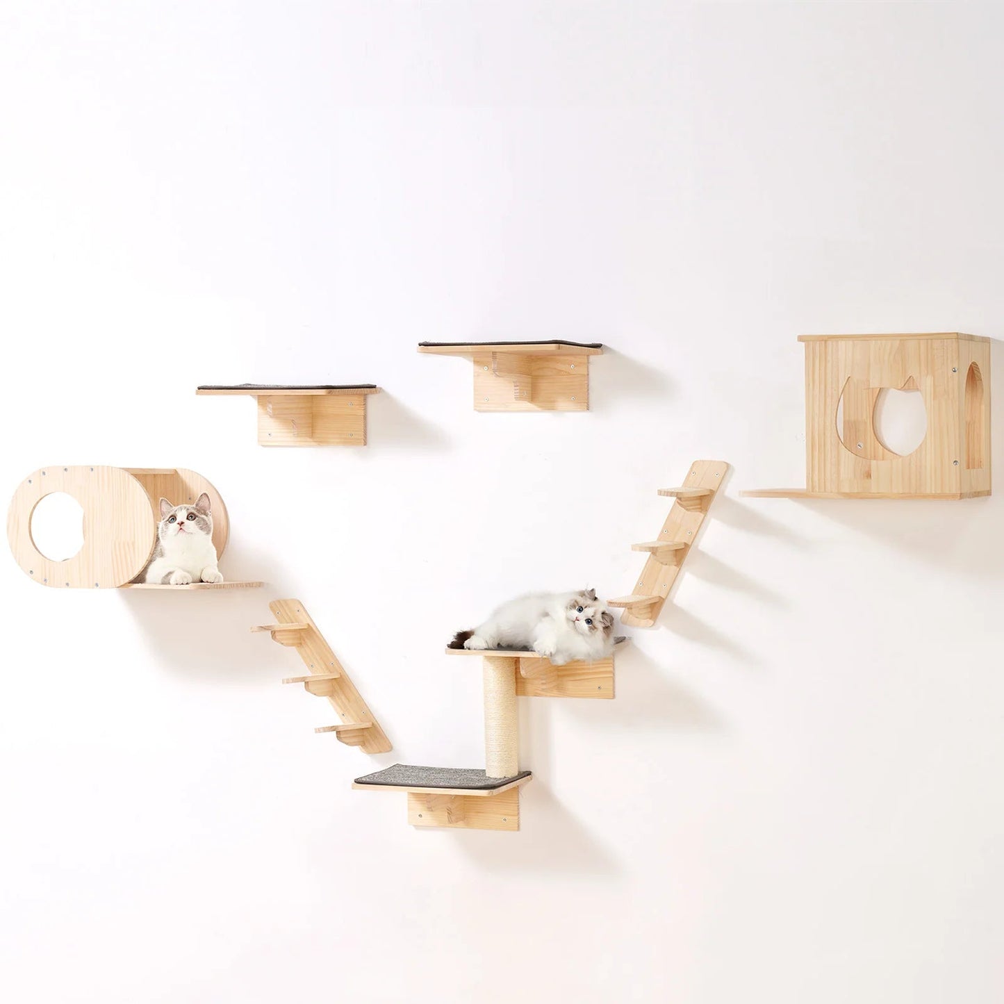 Catvera Modular Cat Wall Climbing System - Image 1|||PROMPT|||Original clean product image