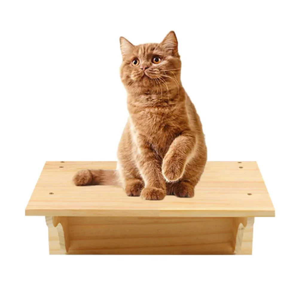 Catvera Modular Wall Cat Climbing System - Image 17|||PROMPT|||Original clean product image