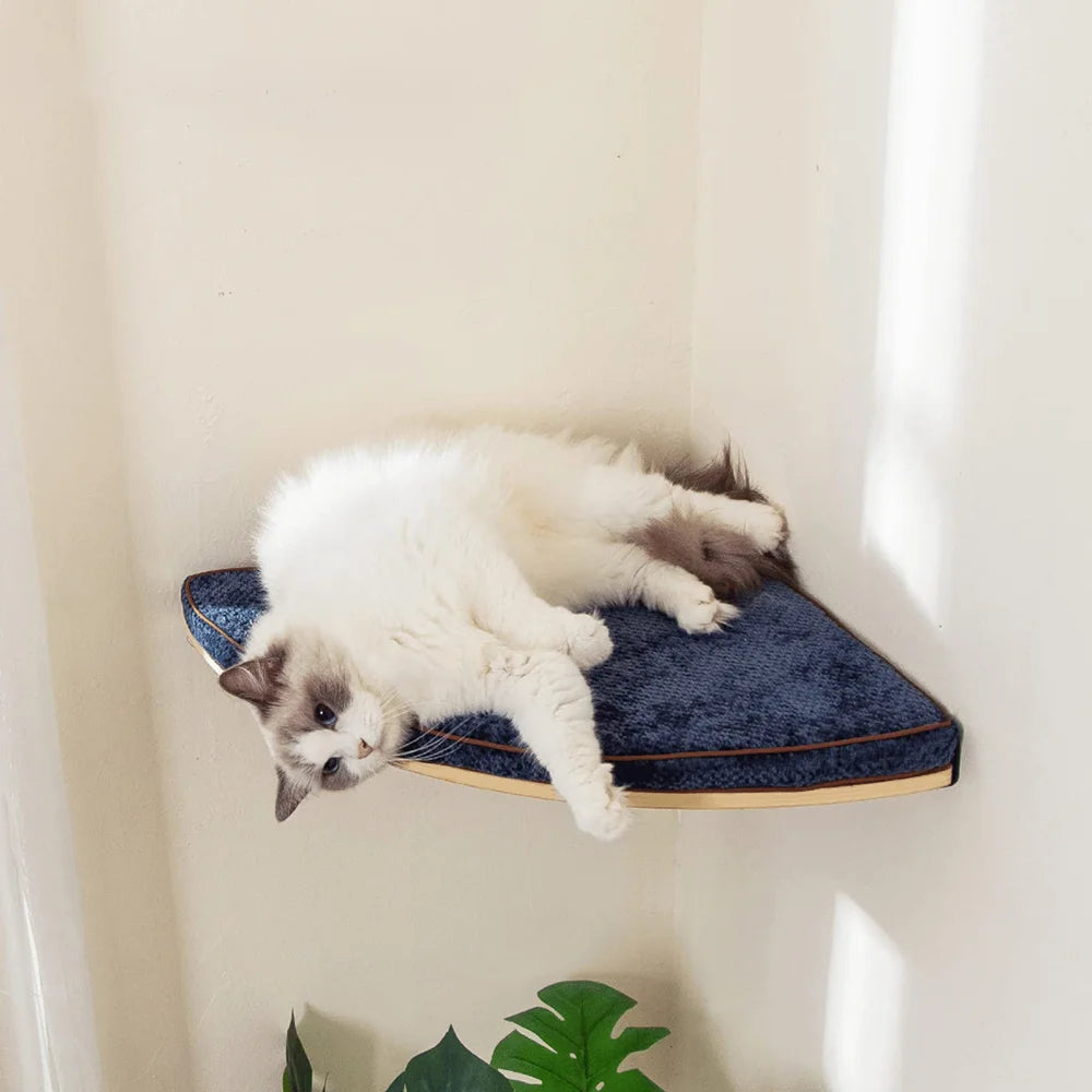 Catvera Modular Wall Cat Climbing System - Image 3|||PROMPT|||Original clean product image