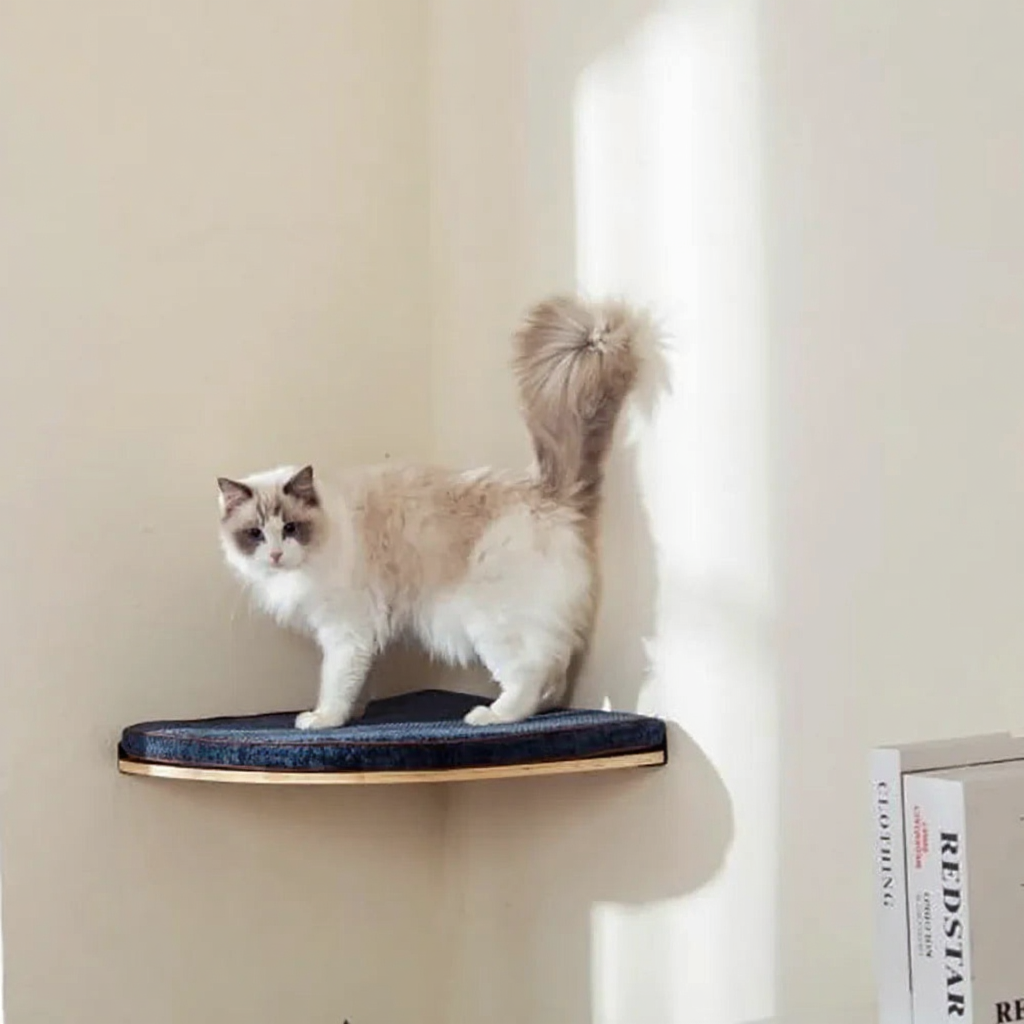 Catvera Modular Wall Cat Climbing System - Image 4|||PROMPT|||Cleaned image. Original analysis: Found book spines with text 'REDISIAR' and partial text 'R.E.D' visible on the right side of the image