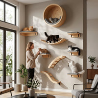 Catvera Modular Wall Cat Climbing System - Main Product Image