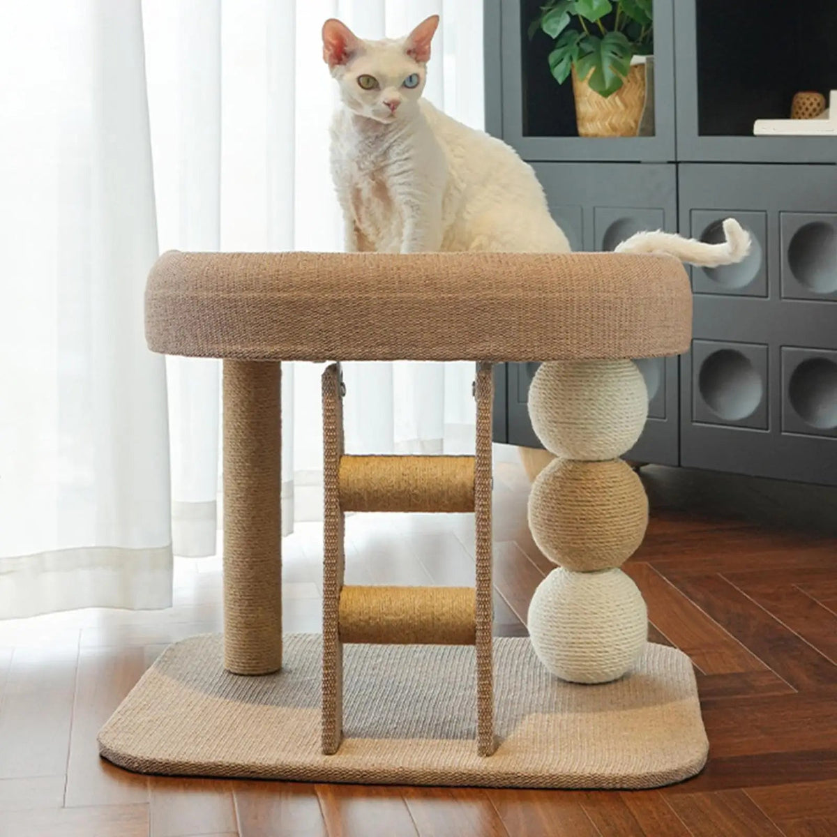 Catvera Multi-Level Cat Tree Tower - Image 4|||PROMPT|||Original clean product image