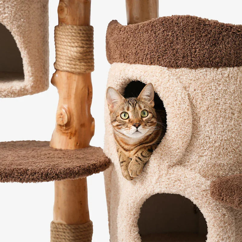 Catvera Multi-Level Wooden Cat Tree - Image 12|||PROMPT|||Original clean product image