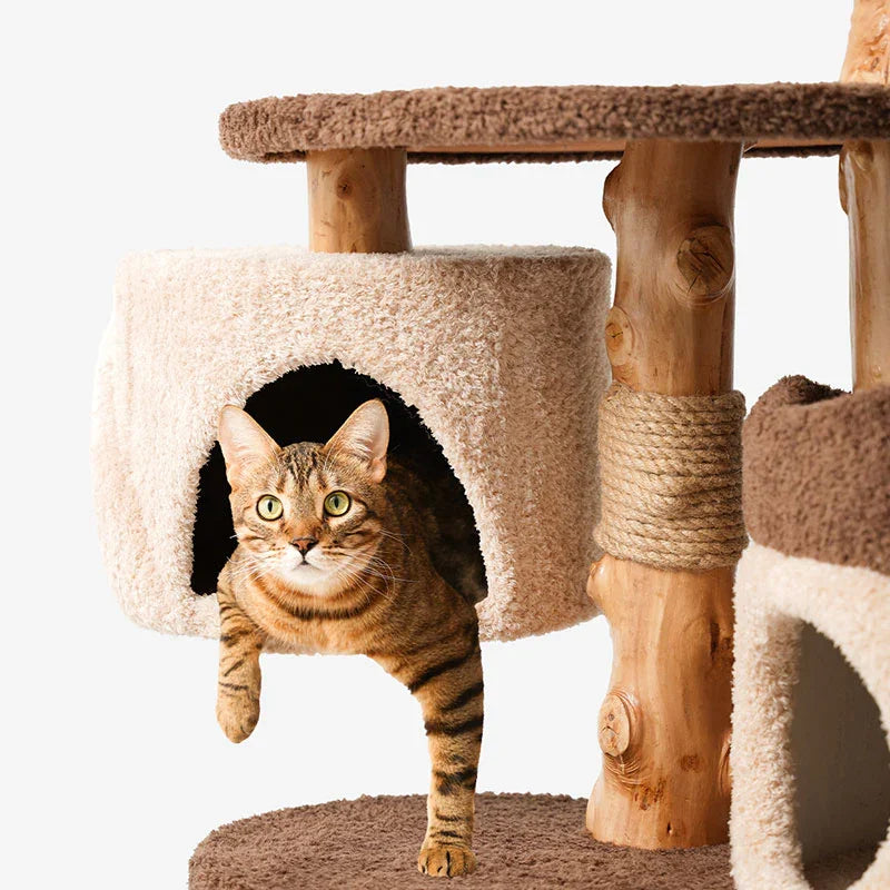 Catvera Multi-Level Wooden Cat Tree - Image 13|||PROMPT|||Original clean product image