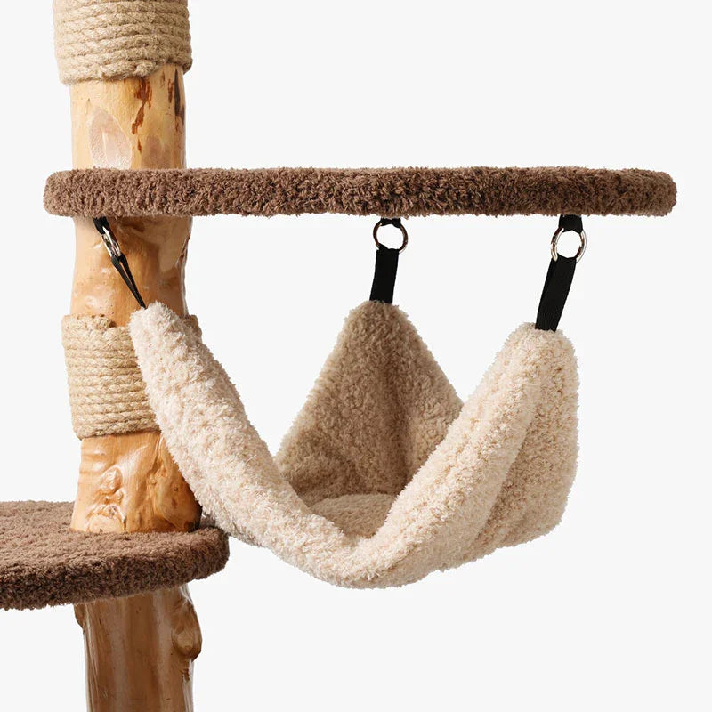 Catvera Multi-Level Wooden Cat Tree - Image 14|||PROMPT|||Original clean product image