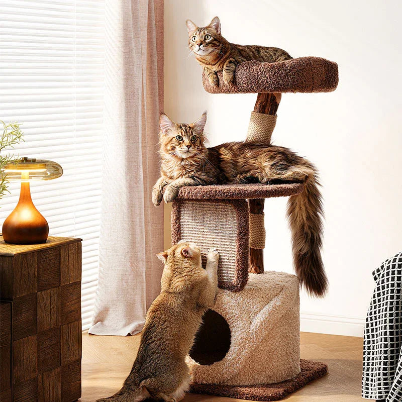 Catvera Multi-Level Wooden Cat Tree - Image 3|||PROMPT|||Original clean product image