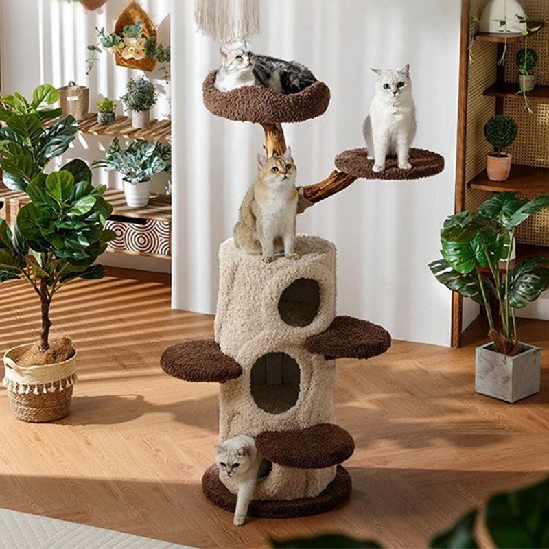 Catvera Multi-Level Wooden Cat Tree - Image 8|||PROMPT|||Original clean product image