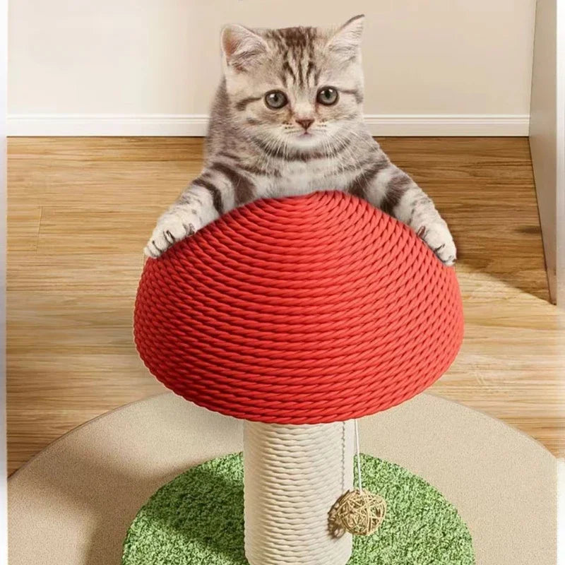 Catvera Mushroom Cat Scratching Post - Image 3|||PROMPT|||Original clean product image
