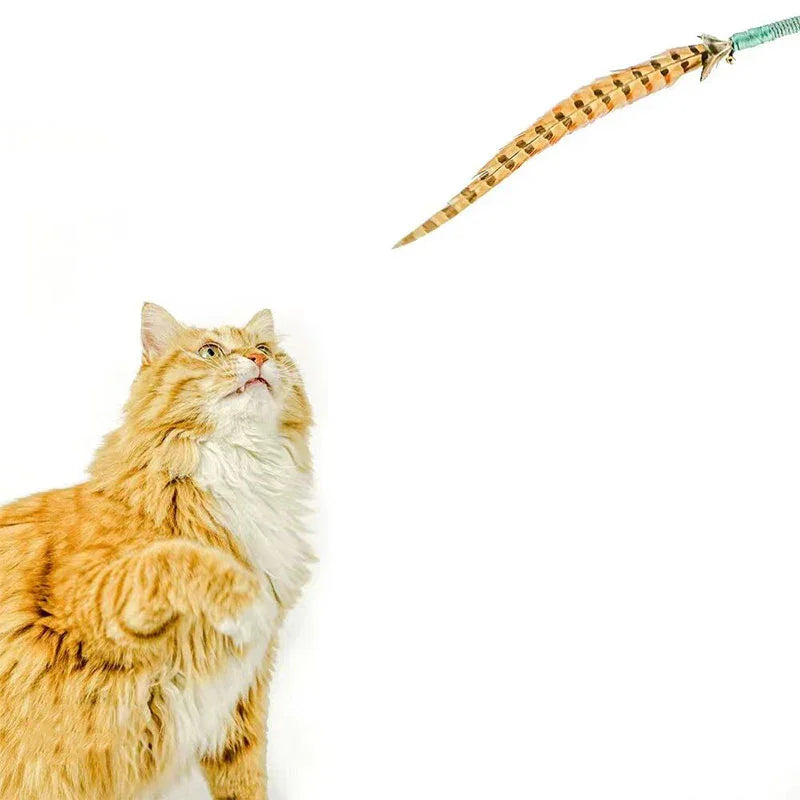 Catvera Natural Pheasant Feather Wand - Image 4|||PROMPT|||Original clean product image