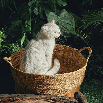 Catvera Natural Wicker Cat Bed - Image 2|||PROMPT|||Original clean product image