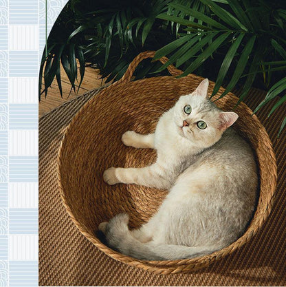 Catvera Natural Wicker Cat Bed - Image 3|||PROMPT|||Original clean product image