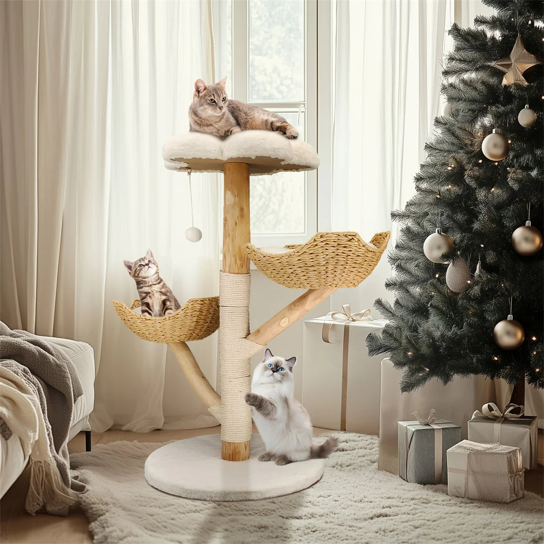Catvera Natural Wood Cat Climbing Tree - Image 1|||PROMPT|||Original clean product image