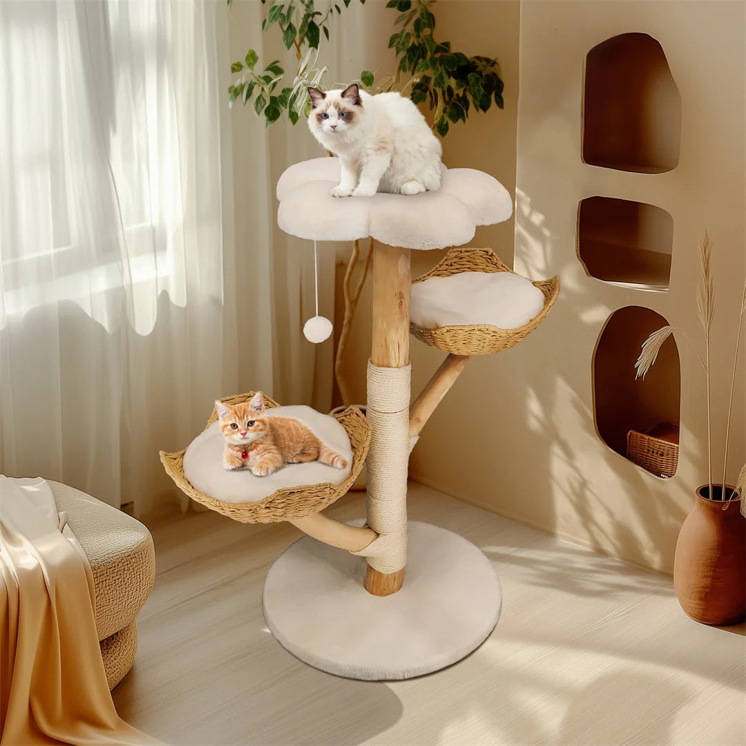 Catvera Natural Wood Cat Climbing Tree - Image 2|||PROMPT|||Original clean product image