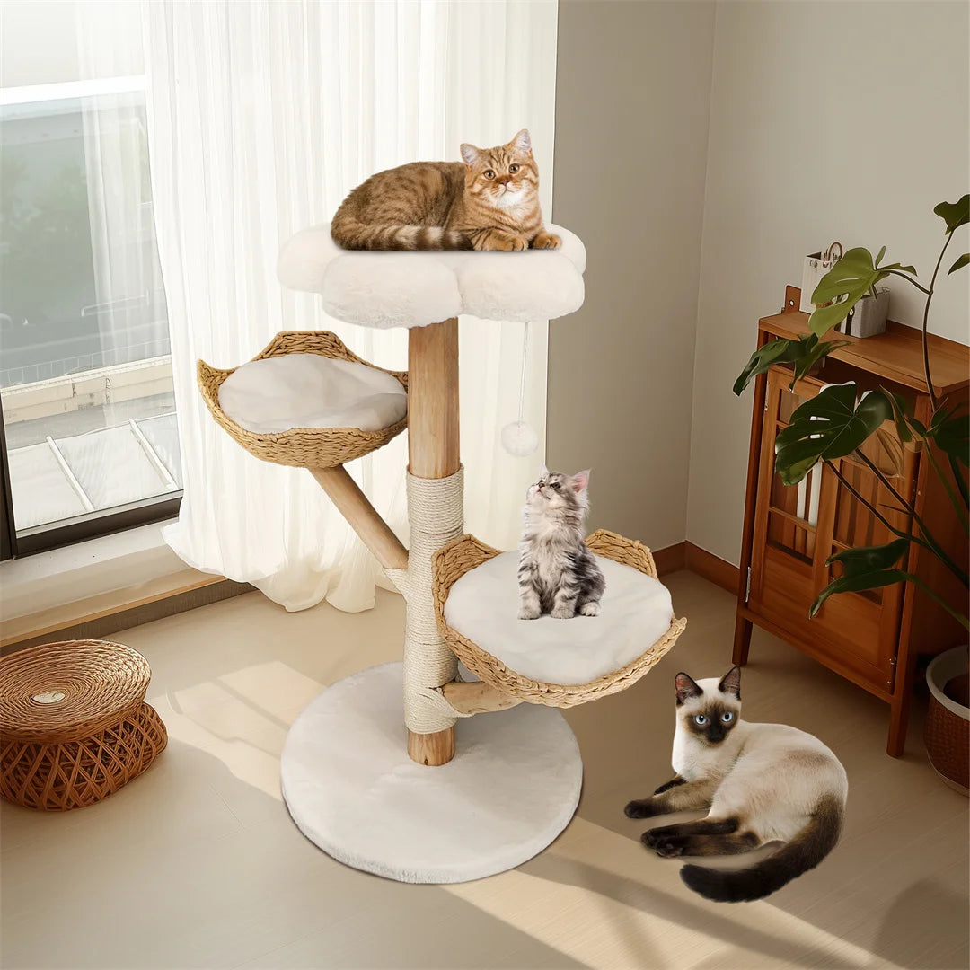 Catvera Natural Wood Cat Climbing Tree - Image 5|||PROMPT|||Original clean product image