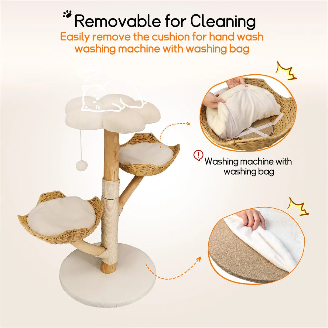 Catvera Natural Wood Cat Climbing Tree - Image 6|||PROMPT|||Original clean product image