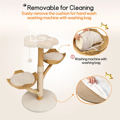 Catvera Natural Wood Cat Climbing Tree - Image 6|||PROMPT|||Original clean product image