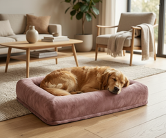 Catvera Orthopaedic Memory Foam Dog Bed - Main Product Image