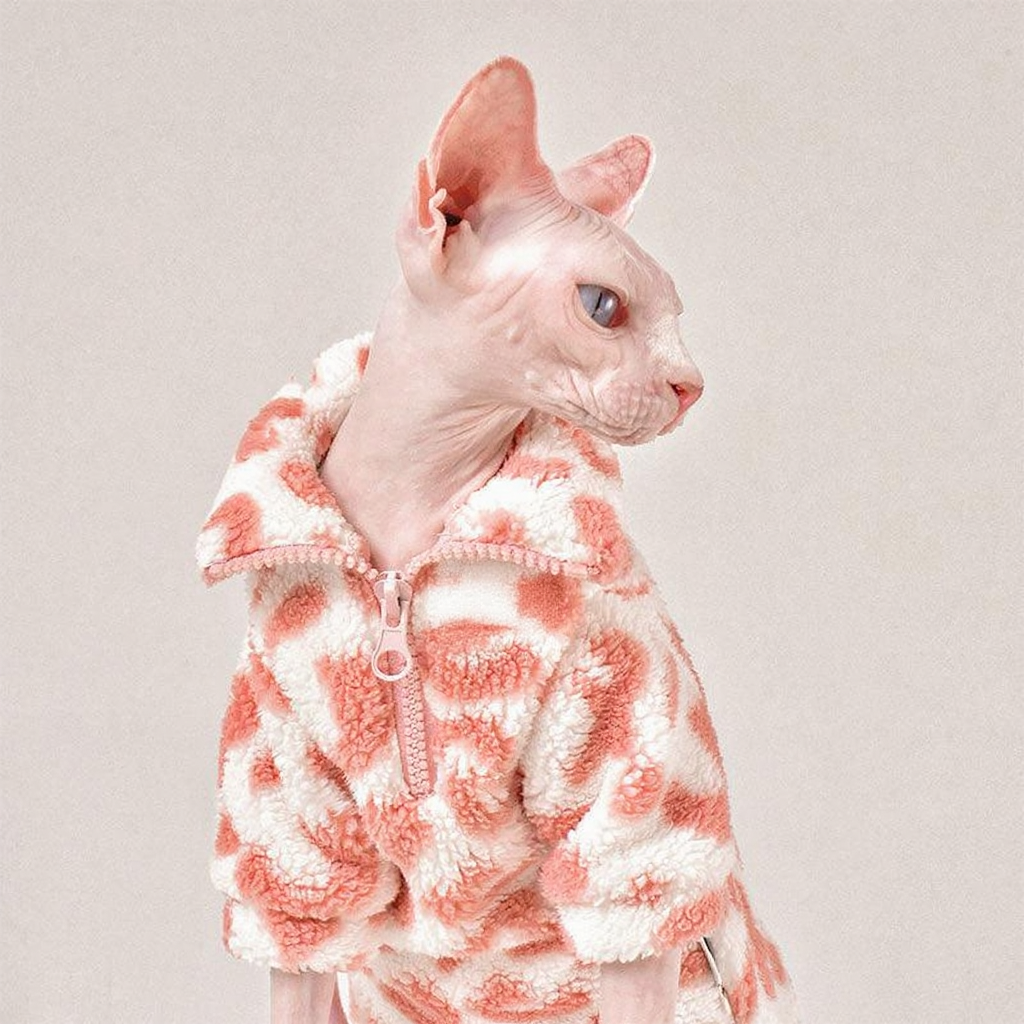 Catvera Pink Leopard Sphynx Sweatshirt - Image 10|||PROMPT|||Cleaned image. Original analysis: found 1 brand logo on the jacket worn by the cat