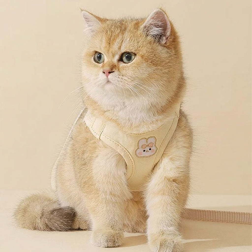 Catvera Rabbit Embroidered Cat Harness - Image 3|||PROMPT|||Cleaned image. Original analysis: found 1 text watermark 'MEWCATS' in white uppercase letters at the top left of the image