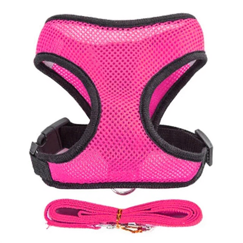 Catvera Reflective Mesh Pet Harness - Image 10|||PROMPT|||Cleaned image. Original analysis: Found 1 logo on the product: a paw print logo with a shield/badge design on the chest area of the harness