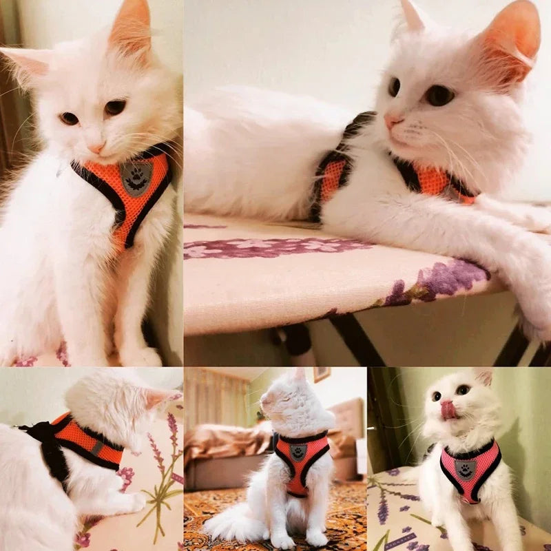 Catvera Reflective Mesh Pet Harness - Image 2|||PROMPT|||Original clean product image