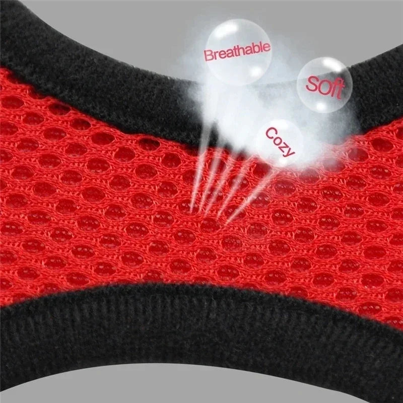 Catvera Reflective Mesh Pet Harness - Image 4|||PROMPT|||Original clean product image