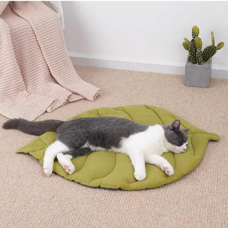 Catvera Reversible Leaf Pet Cushion - Image 2|||PROMPT|||Original clean product image