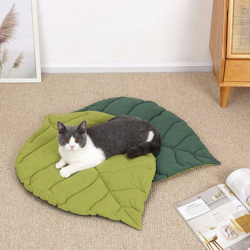 Catvera Reversible Leaf Shaped Cat Mat - Image 4|||PROMPT|||Original clean product image