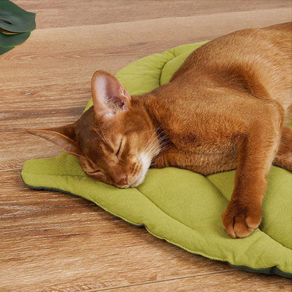 Catvera Reversible Leaf Shaped Cat Mat - Image 8|||PROMPT|||Original clean product image