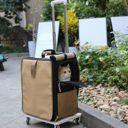 Catvera Roll-Up Foldable Cat Carrier - Image 2|||PROMPT|||Cleaned image. Original analysis: Found brand signage on informational boards in the background and text on the pet carrier itself