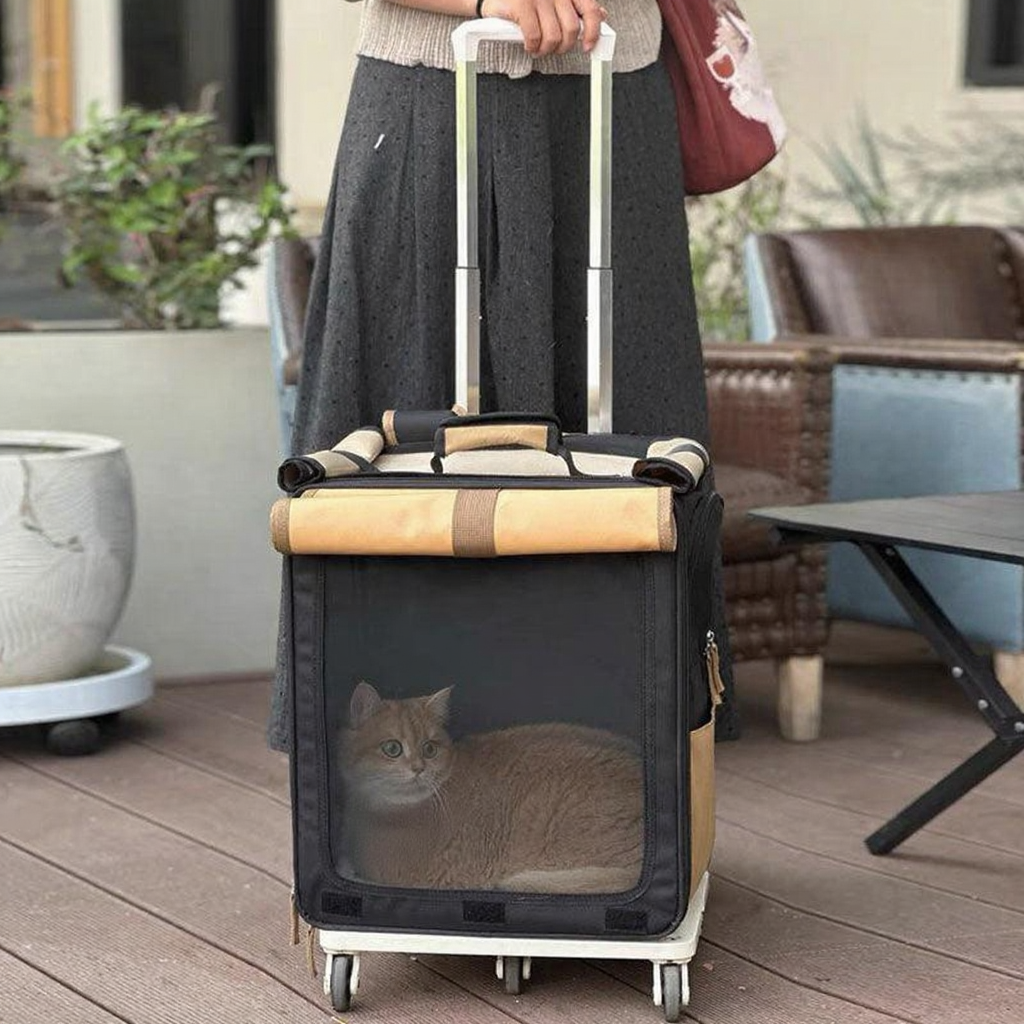Catvera Roll-Up Foldable Cat Carrier - Image 6|||PROMPT|||Cleaned image. Original analysis: Found 1 brand name printed directly on the pet carrier product