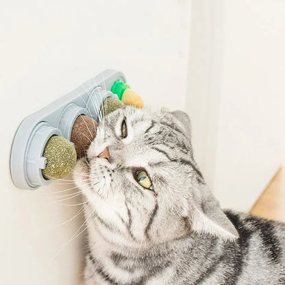 Catvera Rotating 4-in-1 Herbal Lick Toy - Image 1|||PROMPT|||Original clean product image