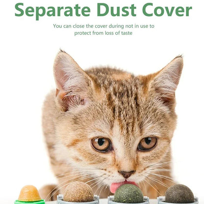 Catvera Rotating 4-in-1 Herbal Lick Toy - Image 4|||PROMPT|||Original clean product image