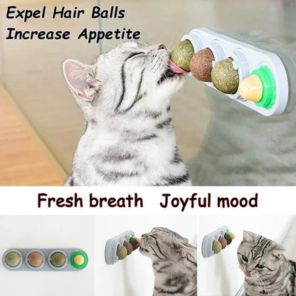 Catvera Rotating 4-in-1 Herbal Lick Toy - Image 5|||PROMPT|||Original clean product image