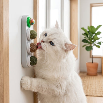 Catvera Rotating 4-in-1 Herbal Lick Toy - Main Product Image