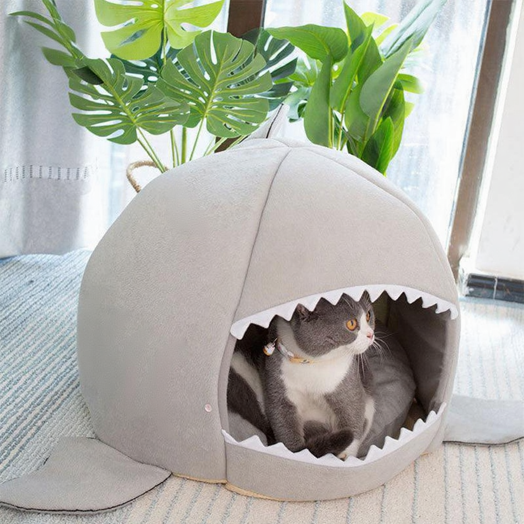 Catvera Shark Cave Cat Bed - Image 7|||PROMPT|||Cleaned image. Original analysis: found 1 watermark text overlay in the top left corner