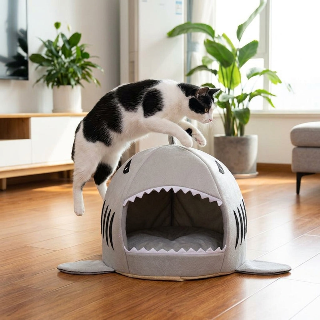 Catvera Shark Cave Cat Bed - Durable Quality Construction