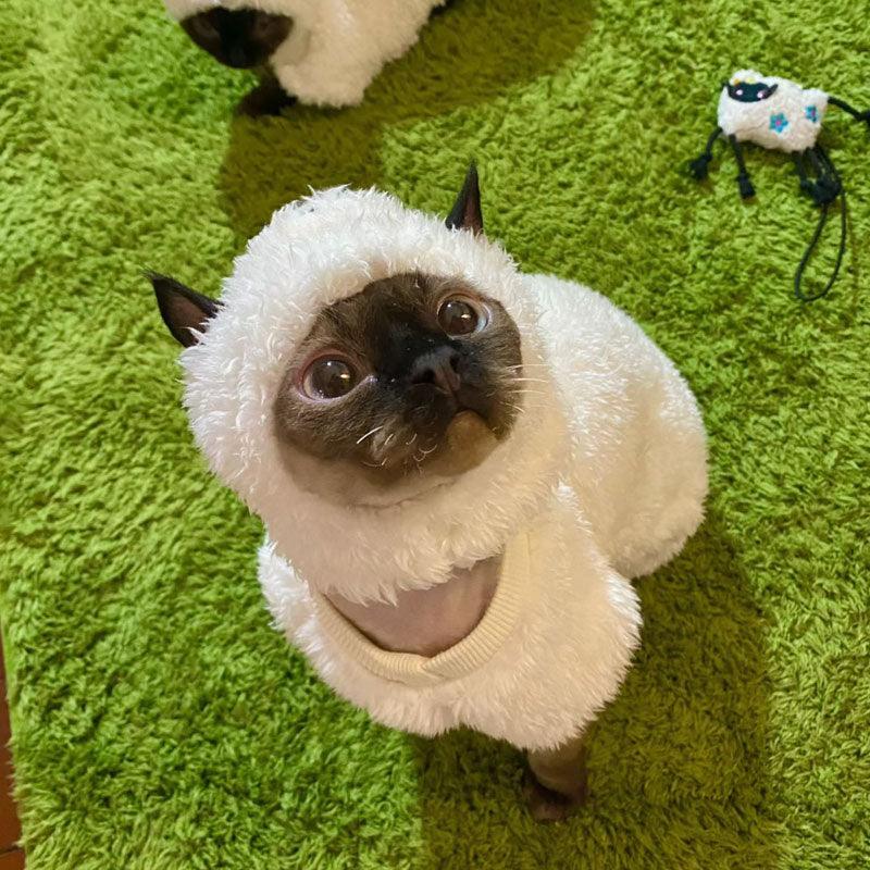 Catvera Sheep Halloween Costume Sphynx - Image 6|||PROMPT|||Original clean product image